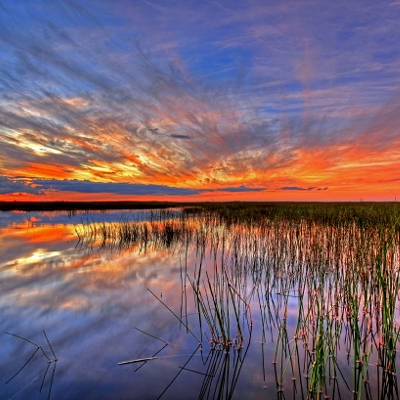 Ron DeSantis has already done more for the Everglades than his predecessor.