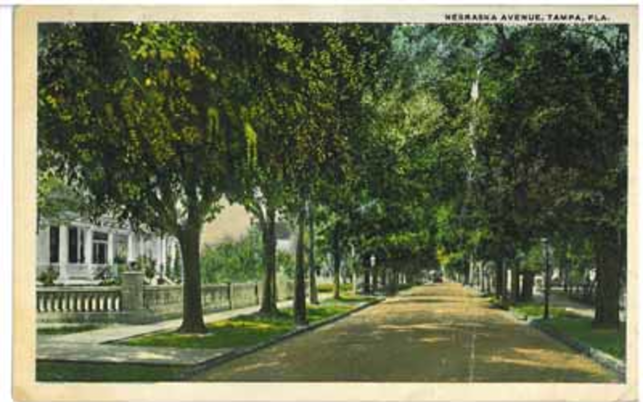 Turning back the clock: A century-old view of Nebraska Avenue in Tampa, shown on a vintage post card.