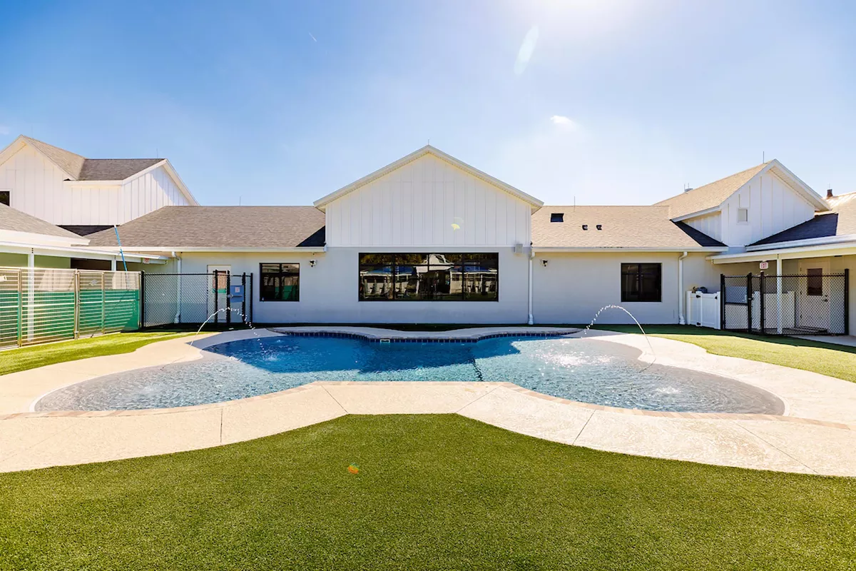 pet_paradise_outdoor_pool.webp