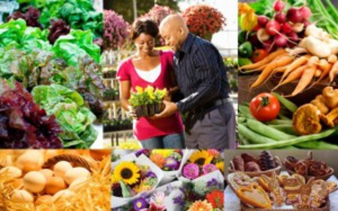 Green Community Calendar weekend events: Fresh markets galore and more