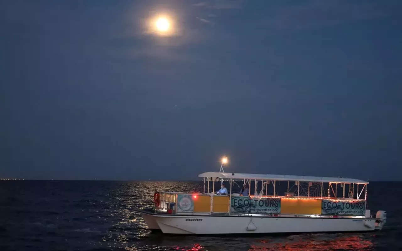 Image: Haunted Tales of Tampa Bay - Eco Boat Tour for all ages!