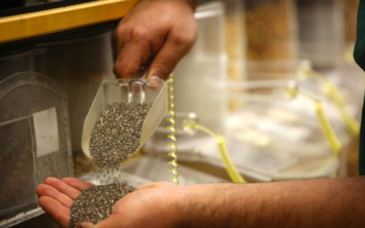 Rollin Oats associate Alain Del Rio displays organic bulk chia seed.