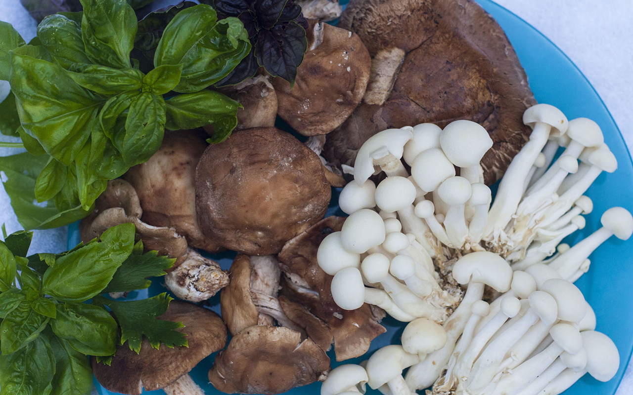 HEALTH CAN BE FUN, GUS: Portobello, shiitake and bunopi mushrooms.