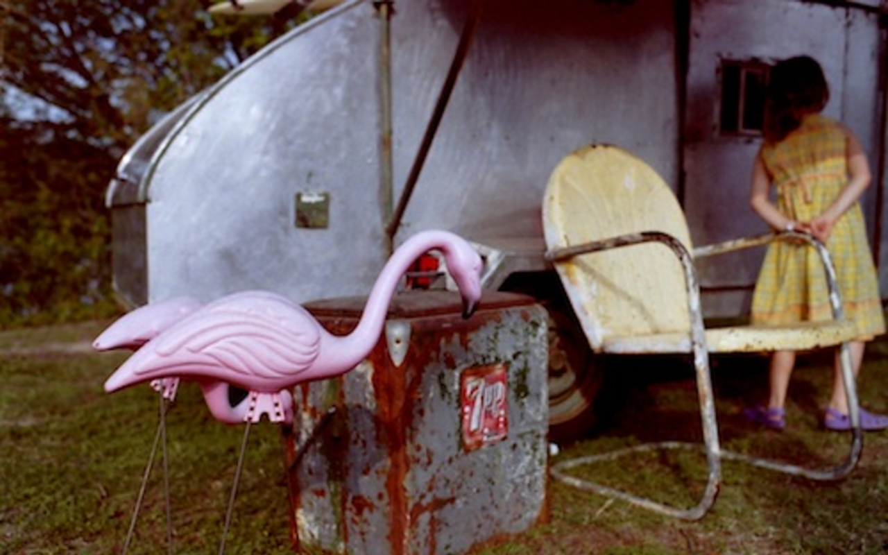 John Mazzello's prize-winning photo, "Flamingo."