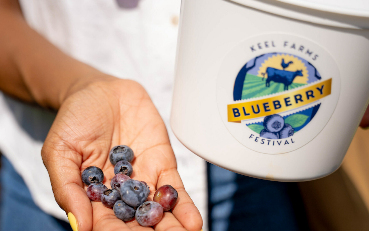Image: Keel Farms Blueberry Festival 2024