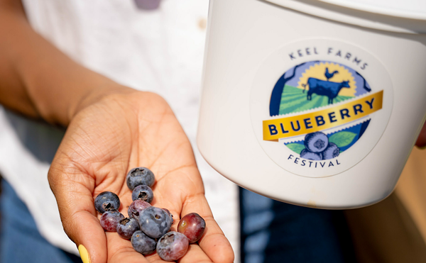 Keel Farms Blueberry Festival happens in Plant City, Florida every Saturday and Sunday through April 21, 2024.