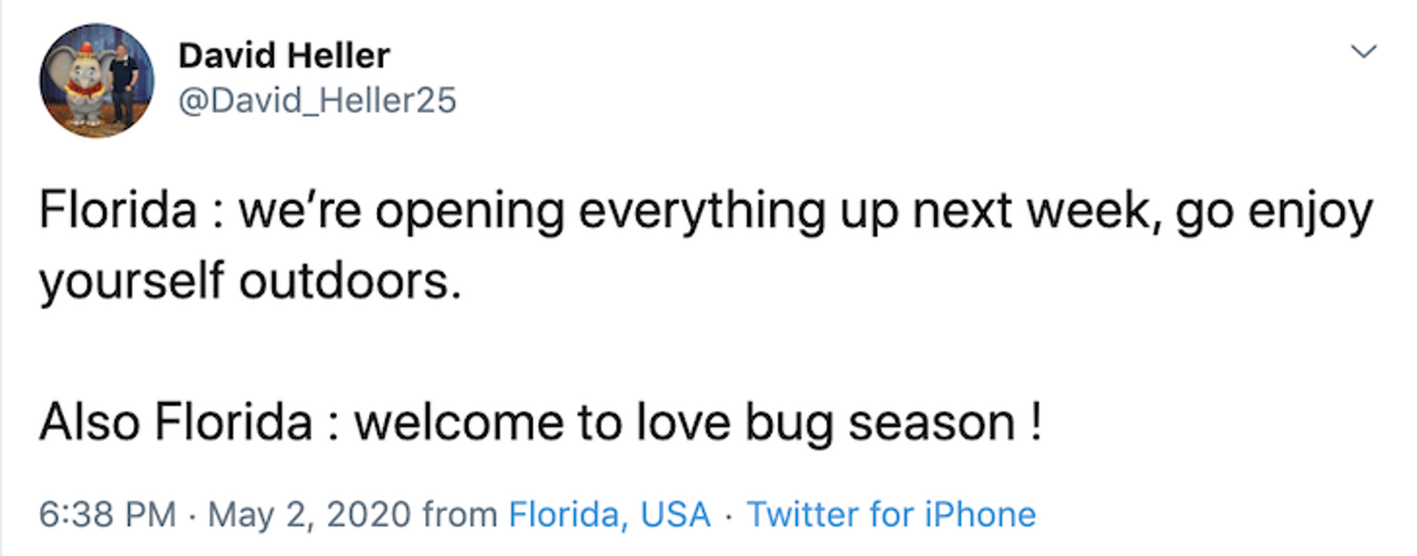 Lovebugs are back, and people in Florida have a lot of feelings about it