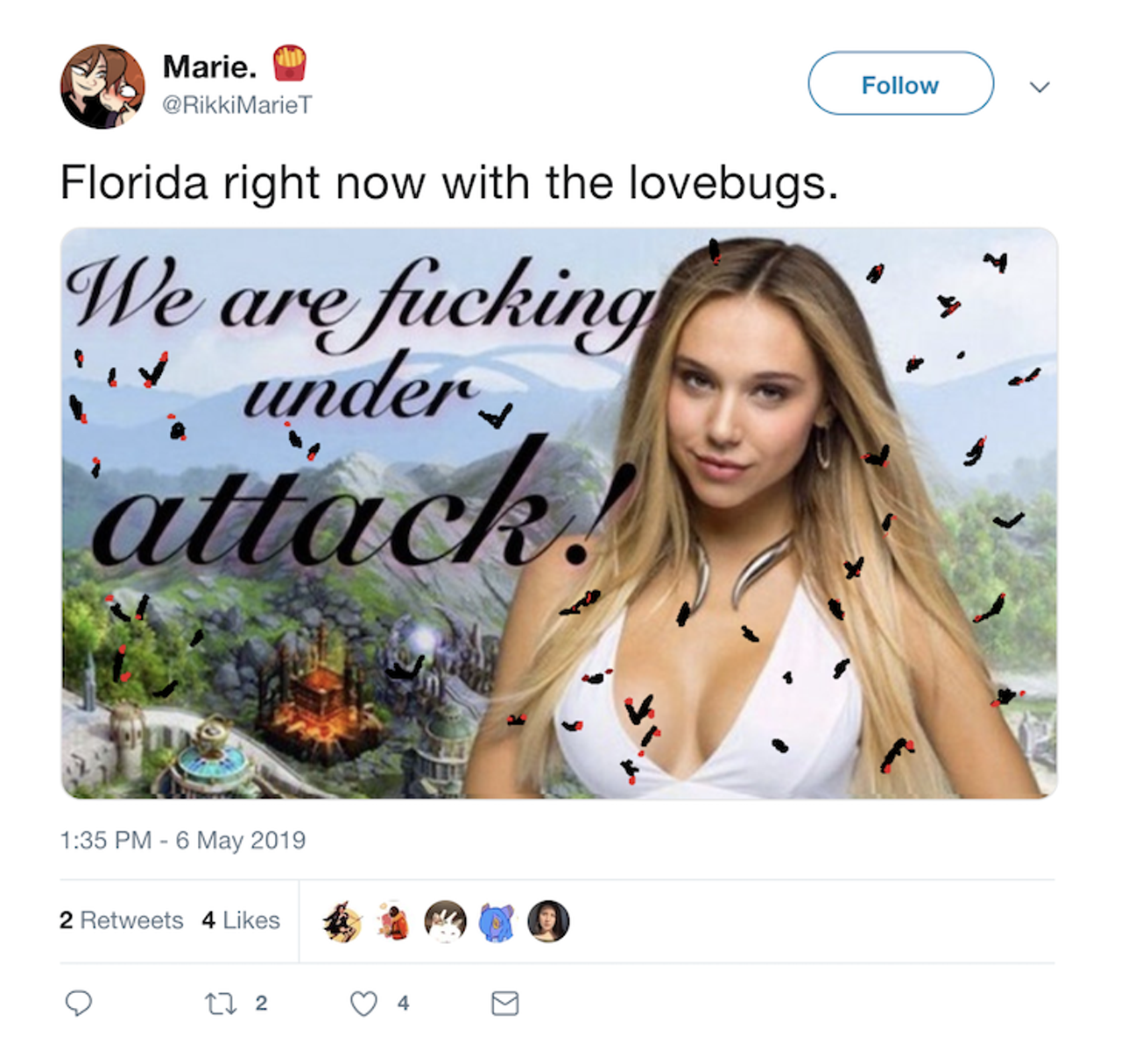 Lovebugs are back, and people in Florida have a lot of feelings about it