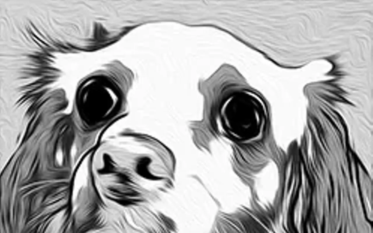 Image: Mish's All-Dog Portraits Art Show at PAW; Friday, 8/9-9/13