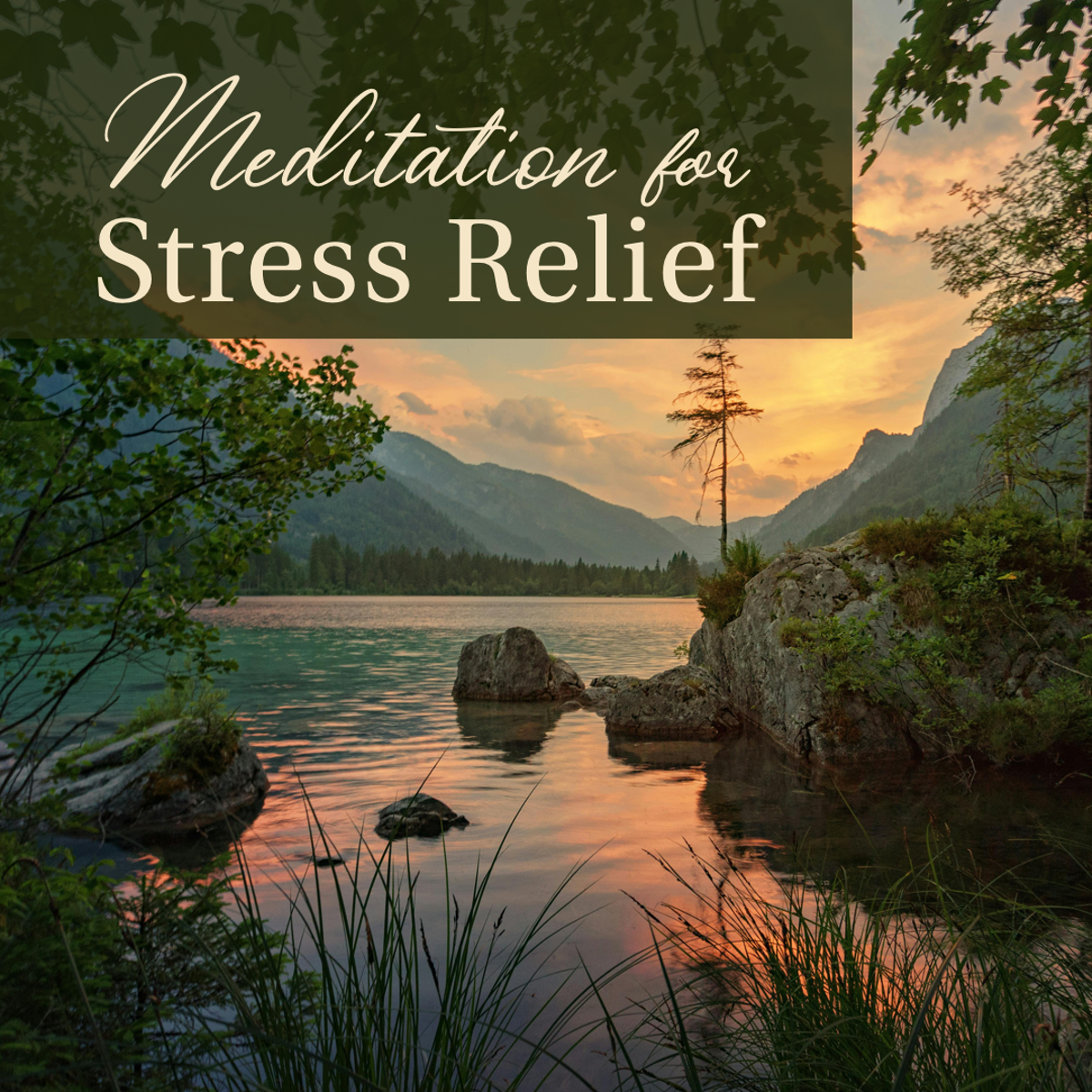 Meditation for Stress Relief