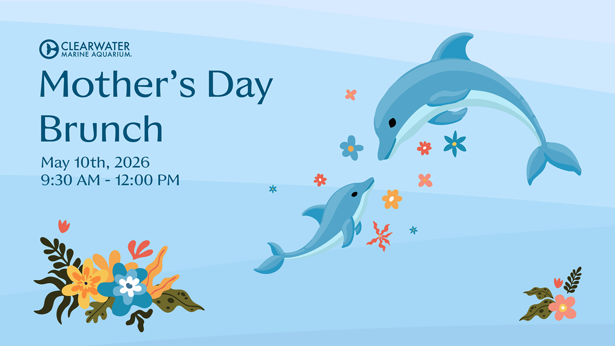 mothers_day_main_graphic__1_.png