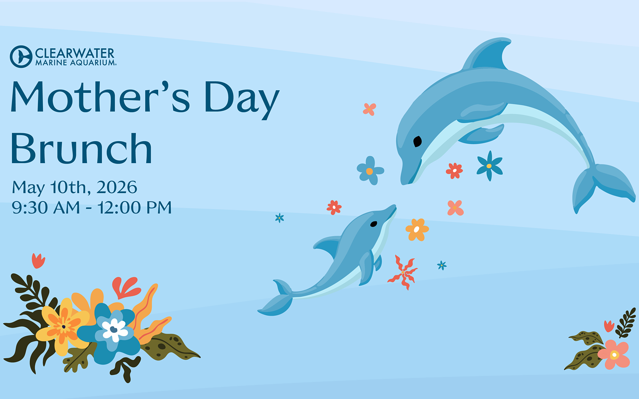 Image: Mother's Day Brunch