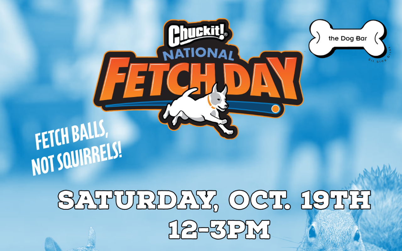 Image: National Fetch Day