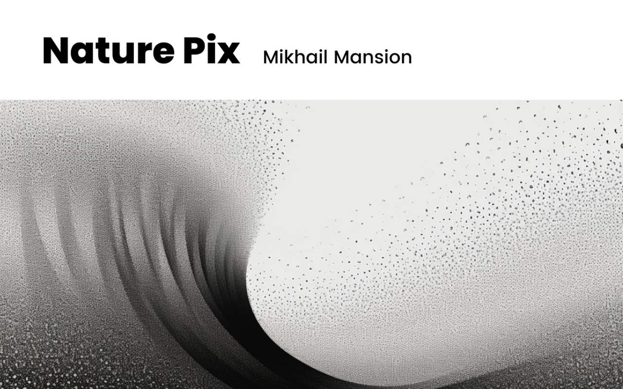 Image: Nature Pix Opening Reception