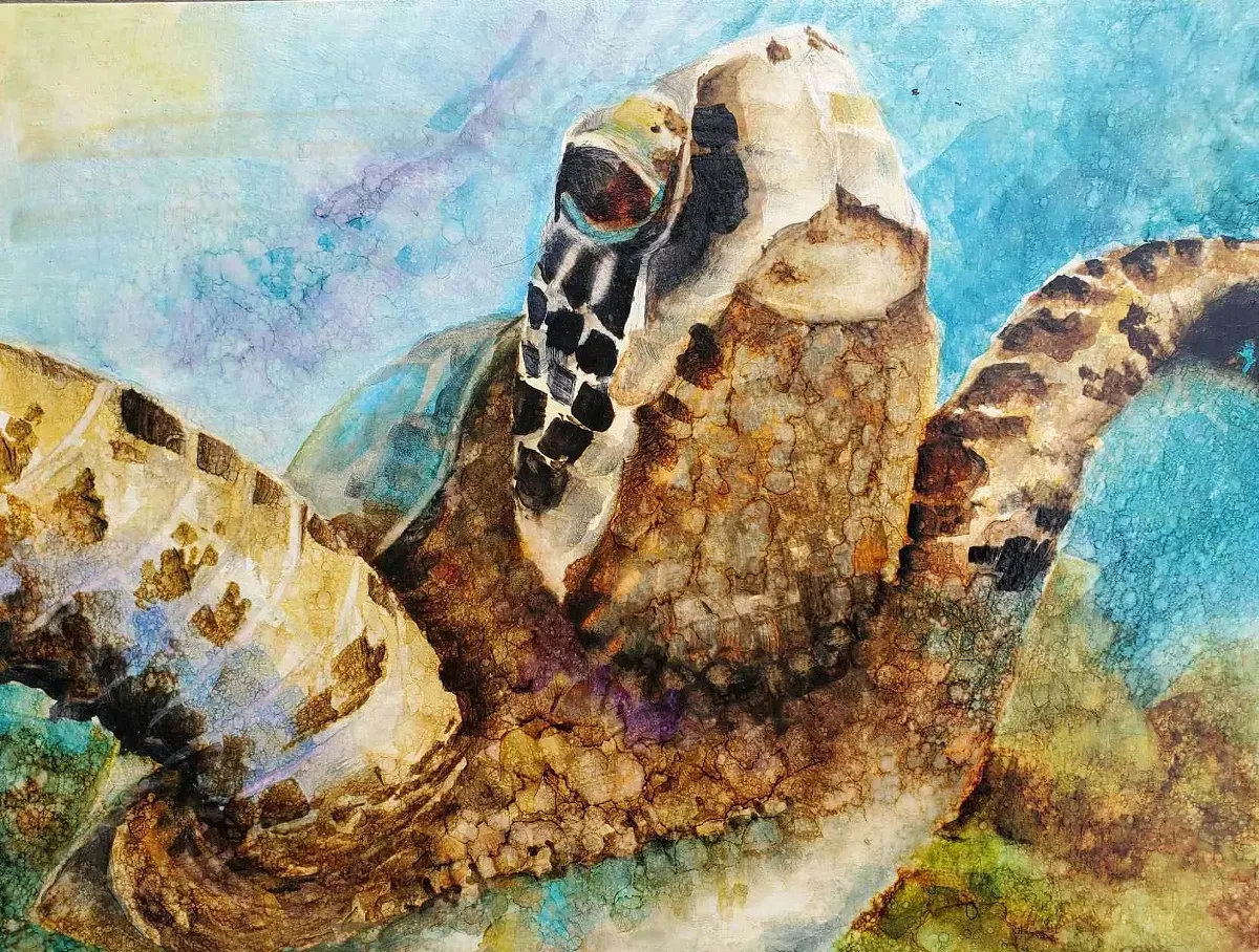 Turtle by Patricia Chase