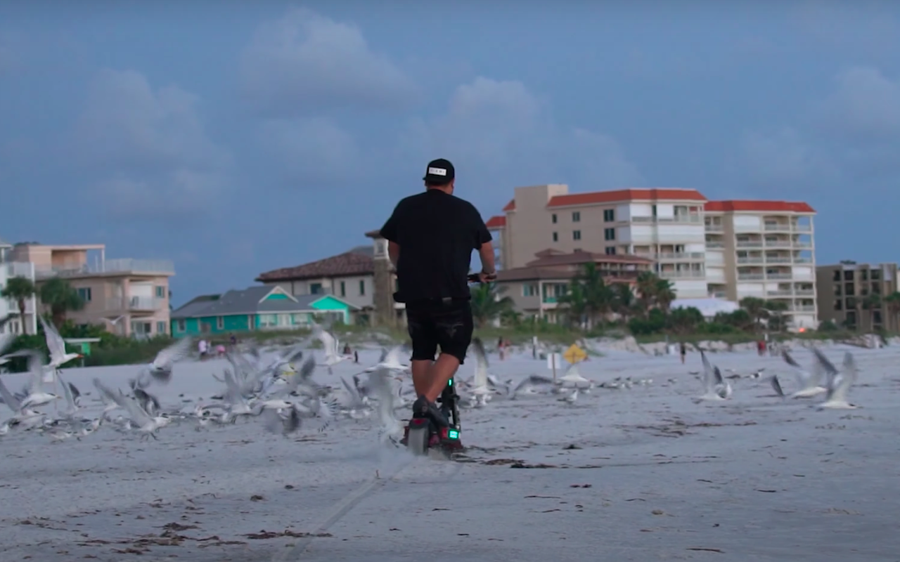 Video shows man in Trump t-shirt killing protected shorebird with an e-scooter at Tampa Bay beach