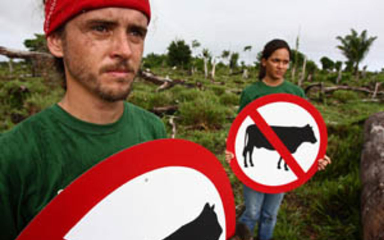 Nike improves Amazon deforestation policy, Timberland must act (video)
