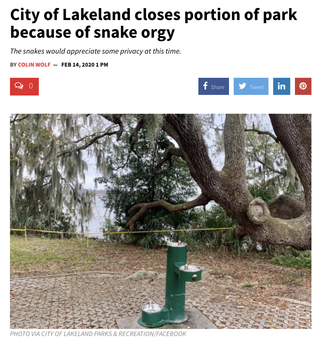 Officials with the City of Lakeland have taped off an area of Lake Hollingsworth after residents noticed a large number of horny snakes. Read More
