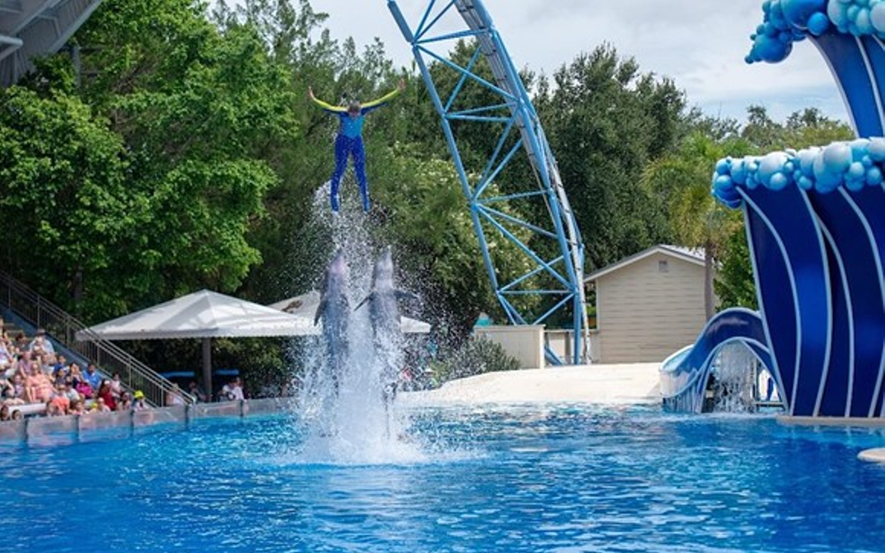PETA, which owns stock in SeaWorld, takes credit for ending controversial dolphin show