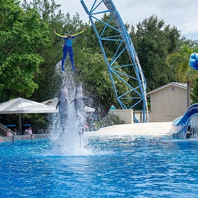 PETA, which owns stock in SeaWorld, takes credit for ending controversial dolphin show