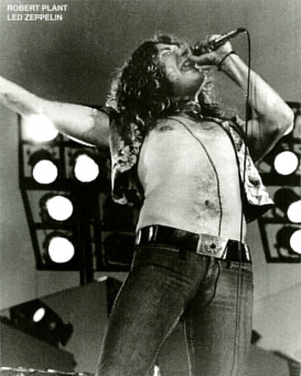 Robert Plant - Led Zeppelin - May 6, 1973 - Tampa Stadium