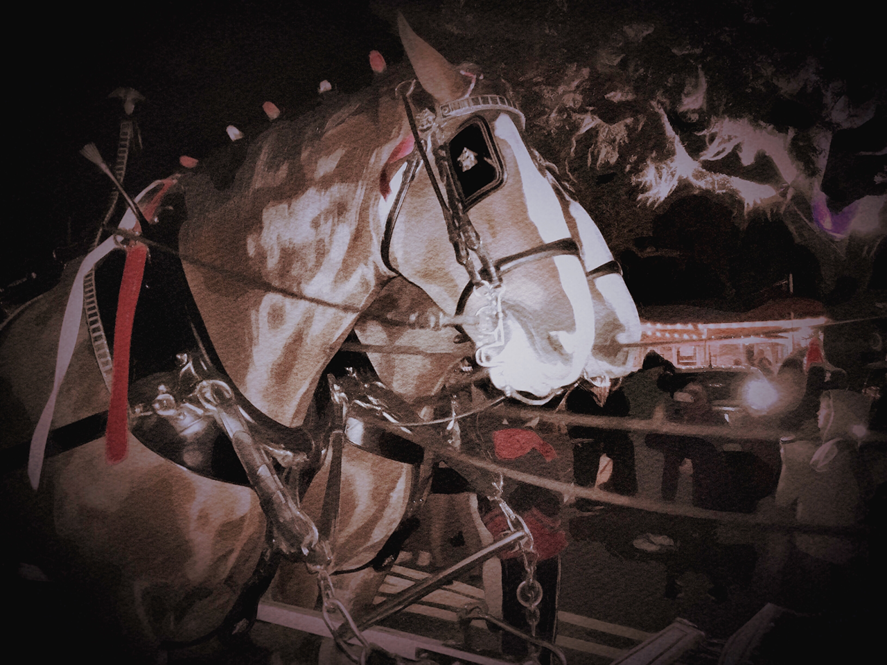 Budweiser Clydesdales in Palm Harbor, standing in the dark. This photo shows you exactly how weak the iPhone's flash is.  (apps: Vintage Scene, iColorama water filter).