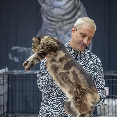 Photos: All the pretty kitties we saw at the 2023 St. Petersburg Catstravaganza