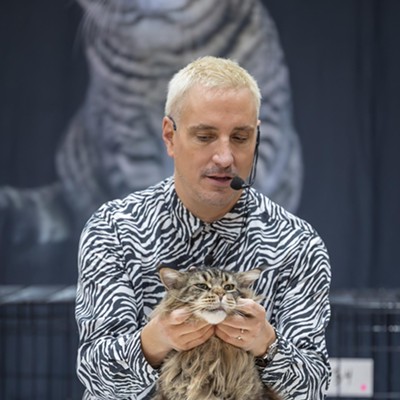 Photos: All the pretty kitties we saw at the 2023 St. Petersburg Catstravaganza