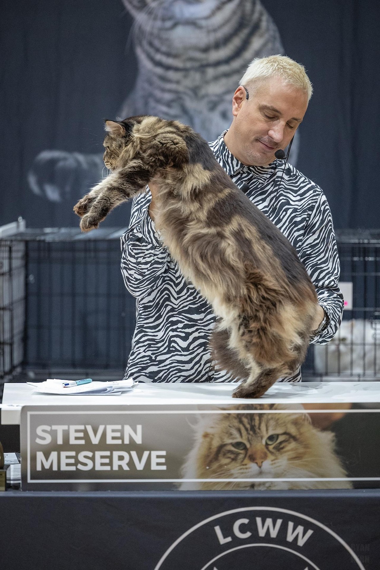 Photos: All the pretty kitties we saw at the 2023 St. Petersburg Catstravaganza