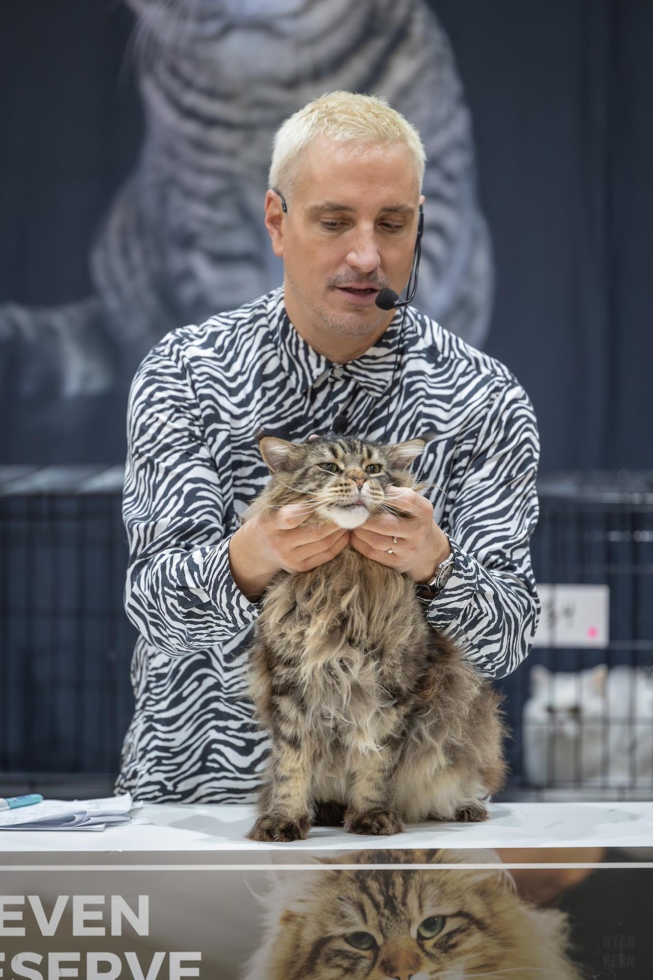 Photos: All the pretty kitties we saw at the 2023 St. Petersburg Catstravaganza