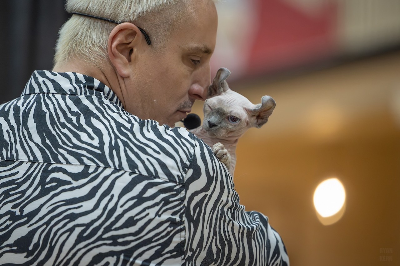 Photos: All the pretty kitties we saw at the 2023 St. Petersburg Catstravaganza