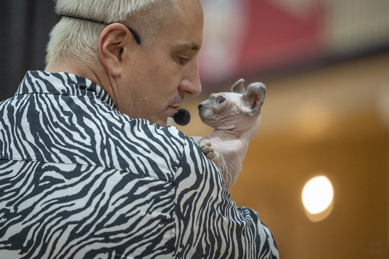 Photos: All the pretty kitties we saw at the 2023 St. Petersburg Catstravaganza