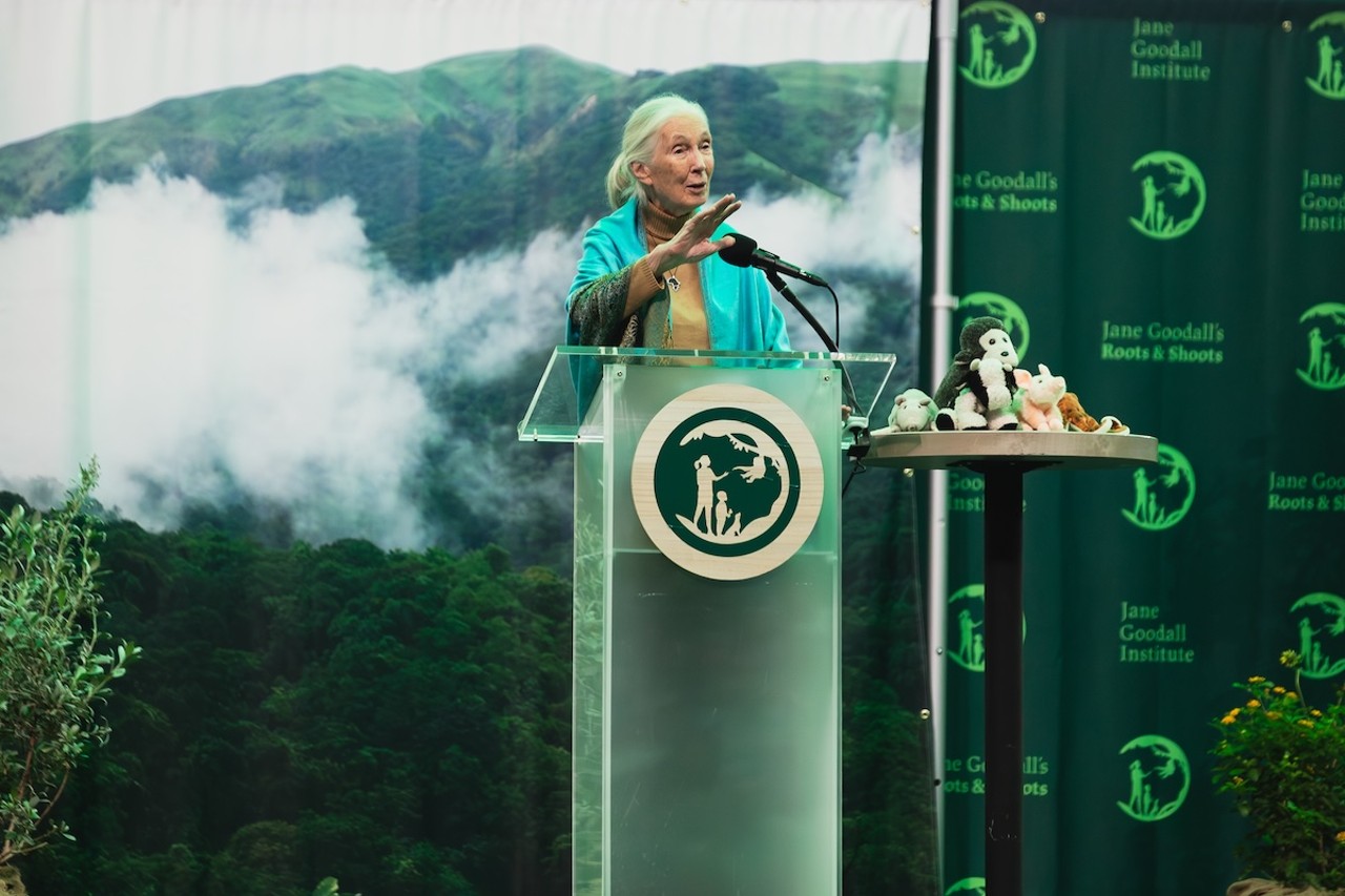 Photos: Dr. Jane Goodall takes the field, talks conservation, at St. Pete's Tropicana Field