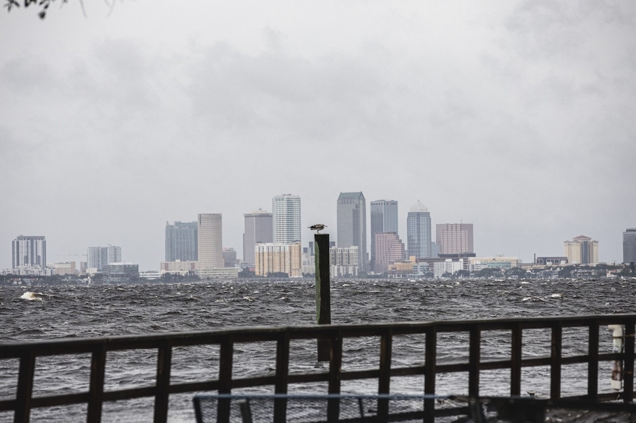 Ballast Point in Tampa, Florida on Sept. 26, 2024.