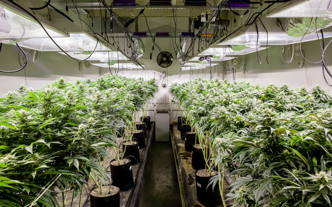 Pot giant Trulieve spends another $500,000 to legalize recreational marijuana in Florida