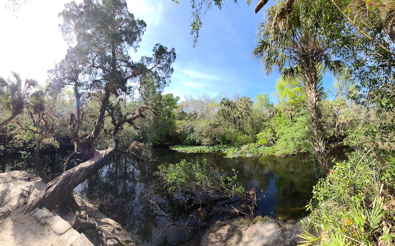 A trail on the Hillsborough River Park Campground on March 5, 2023.