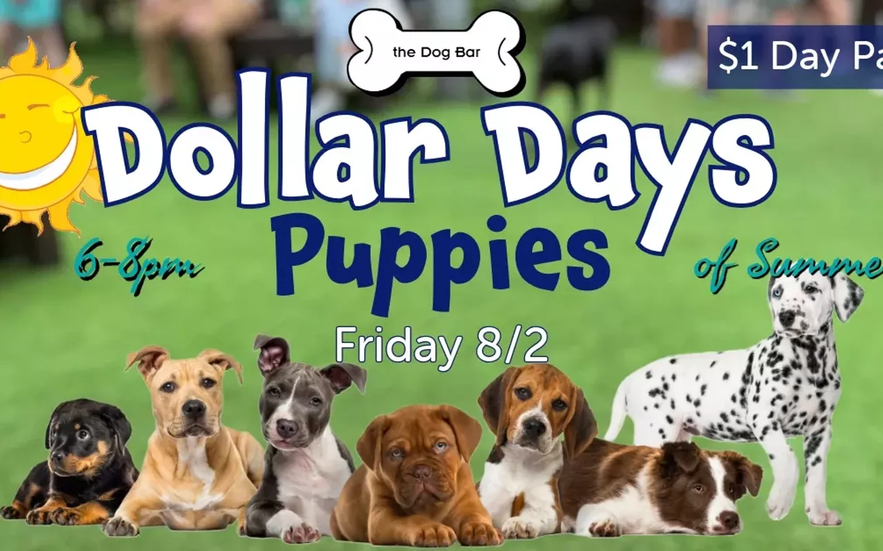 Image: PUPPIES $ DAYS OF SUMMER