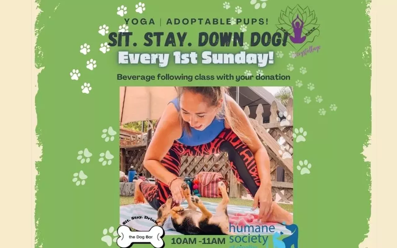Image: Puppy Yoga at Dog Bar