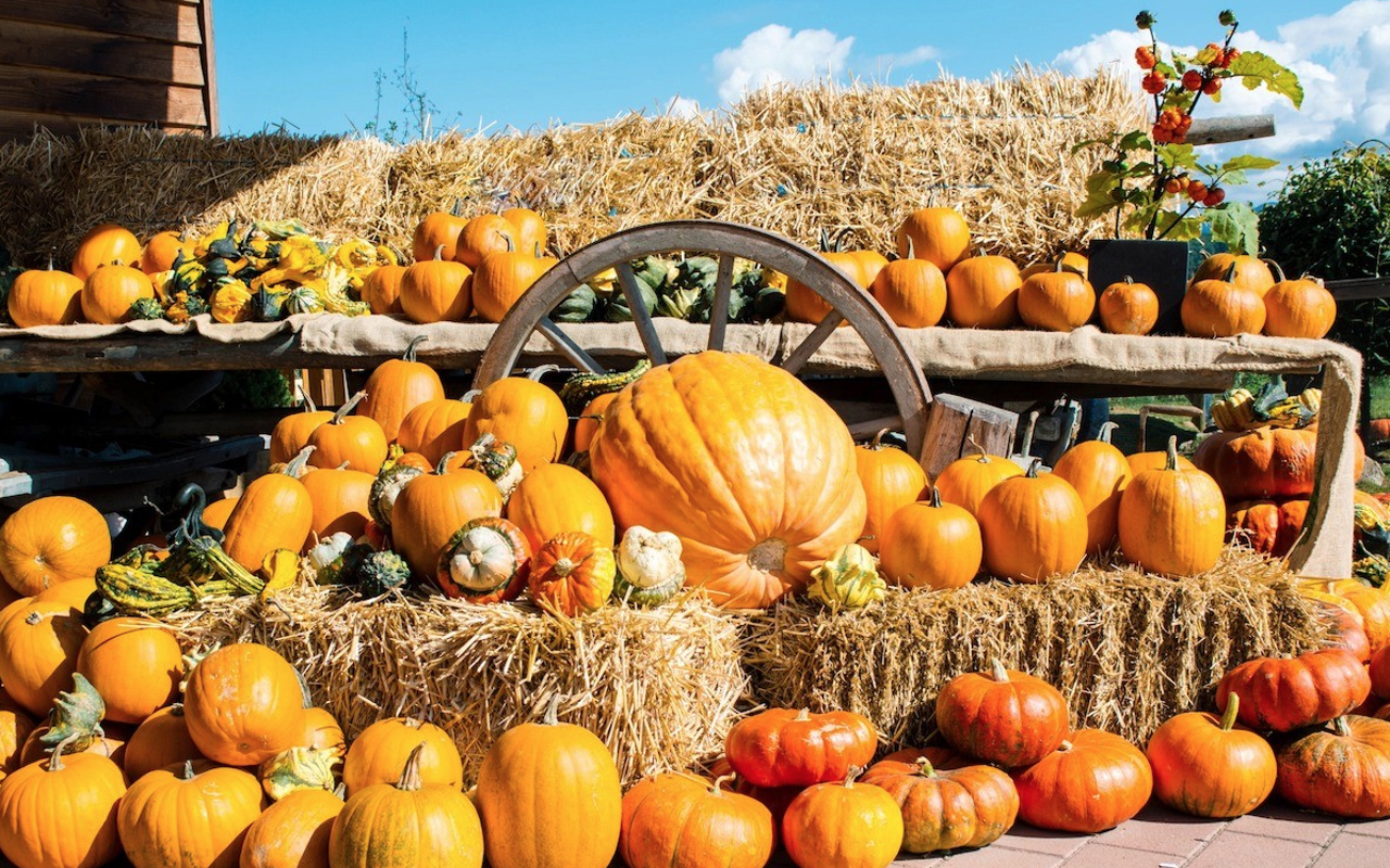 Raprager Family Farm’s Fall Festival opens in Odessa this weekend