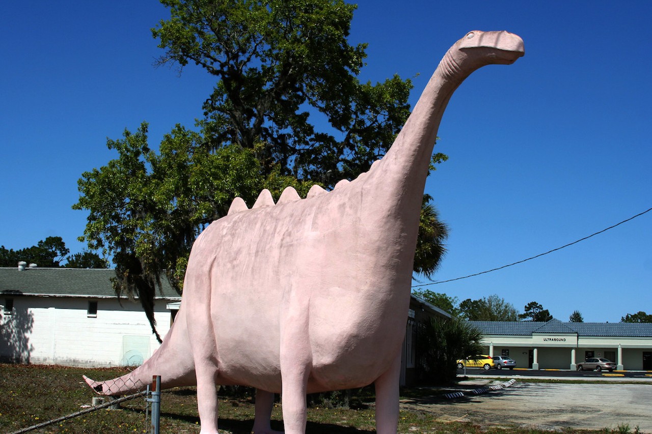 Dinosaur Wildlife
All that's left of Dinosaur Wildlife is a big Pepto Bismol pink dino off U.S. Route 19 in Spring Hill. But from 1962-1998, the once popular roadside attraction was a haven for exotic taxidermy, including a two-headed calf, a four-legged chick, and a number of albino animals. In 1988, founder Jacob Foxbower died, and the business was kept alive for another decade by his son and wife.