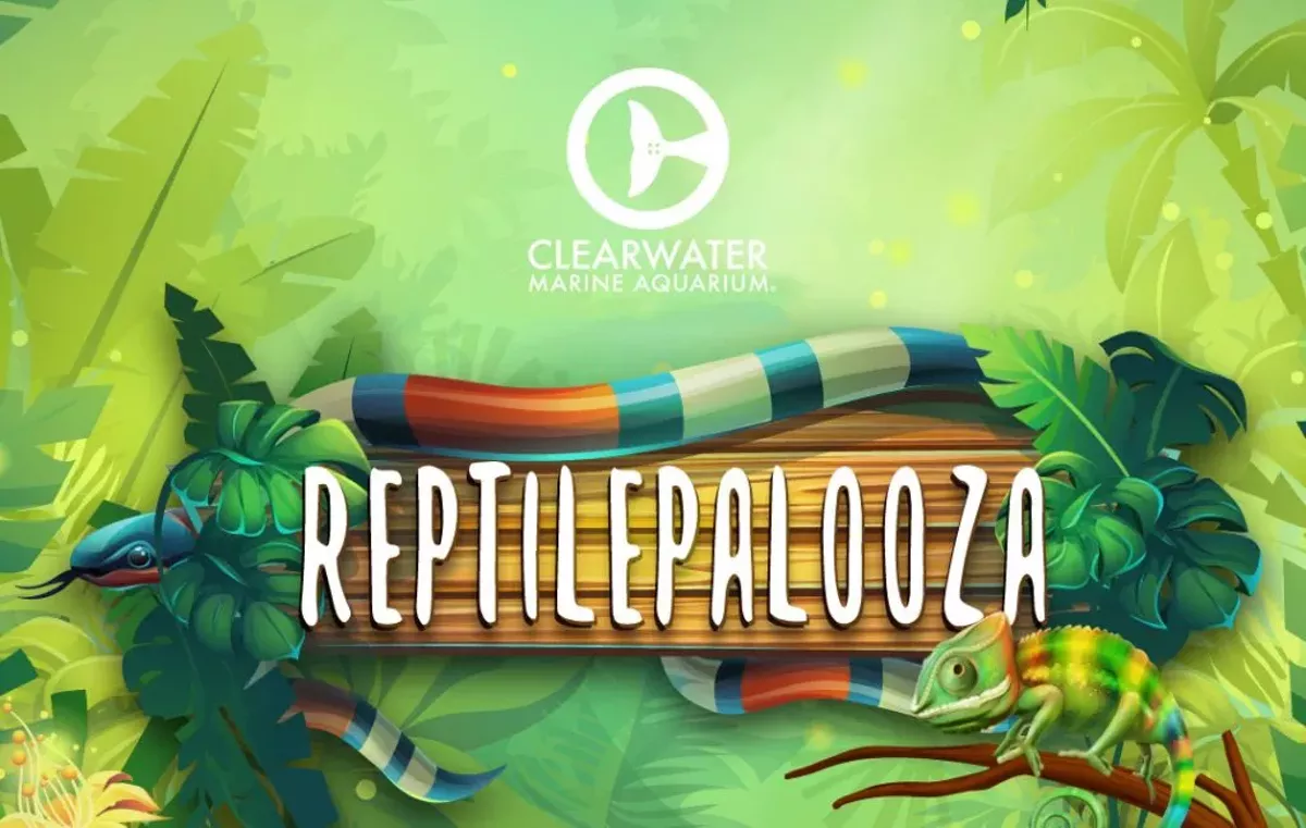 Reptilepalooza at Clearwater Marine Aquarium