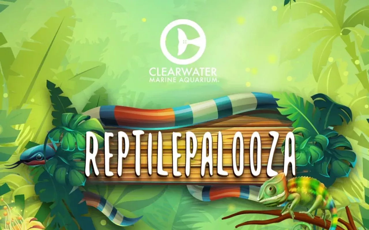 Image: Reptilepalooza at Clearwater Marine Aquarium