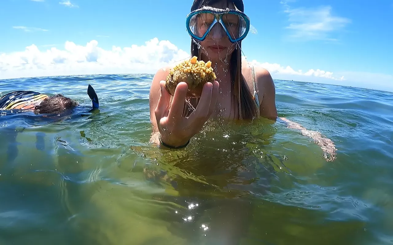 Image: Sandbar Snorkeling Excursions