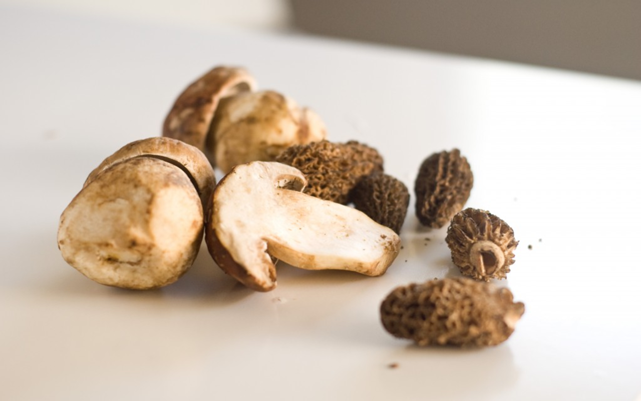 Shroom season: A guide to enjoying porcini mushrooms