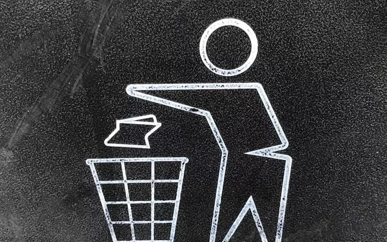 Image: Shuffle Trash Pick Up