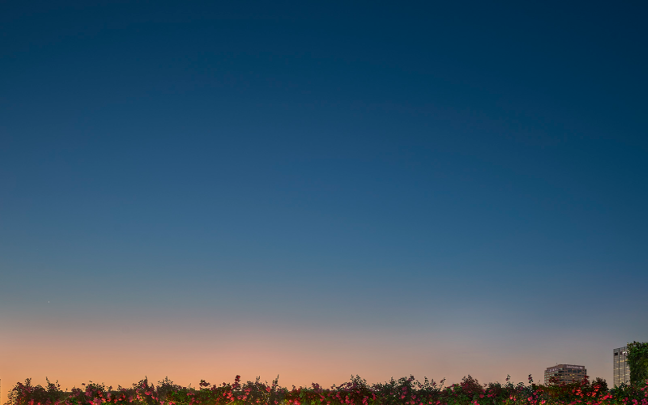 Image: SKYLINE SCENES | AUTUMN EDITION