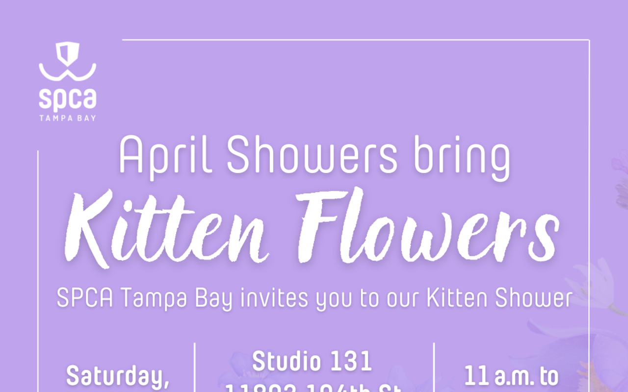 SPCA Tampa Bay Kitten Shower