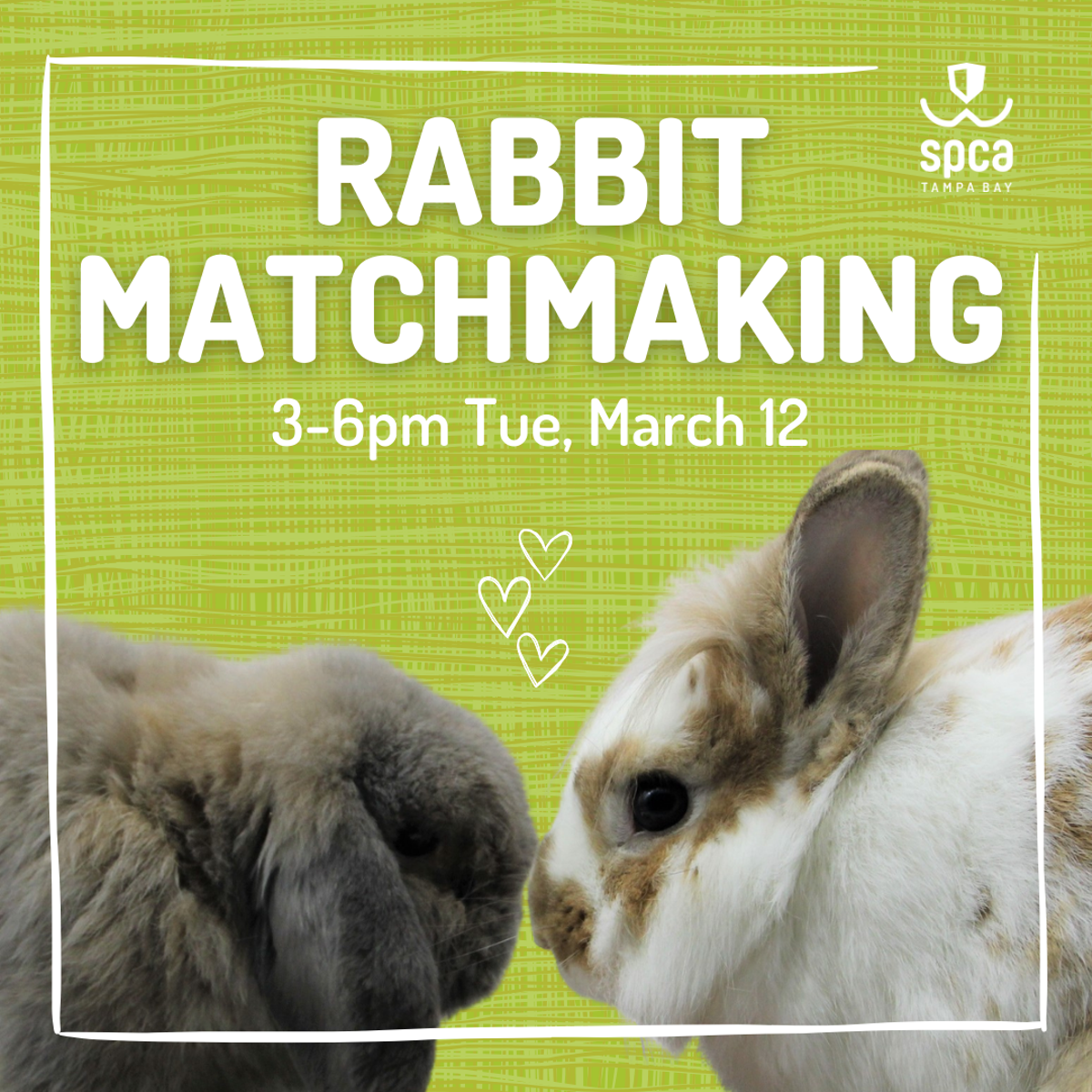 rabbit_matchmaking_event__11_.png