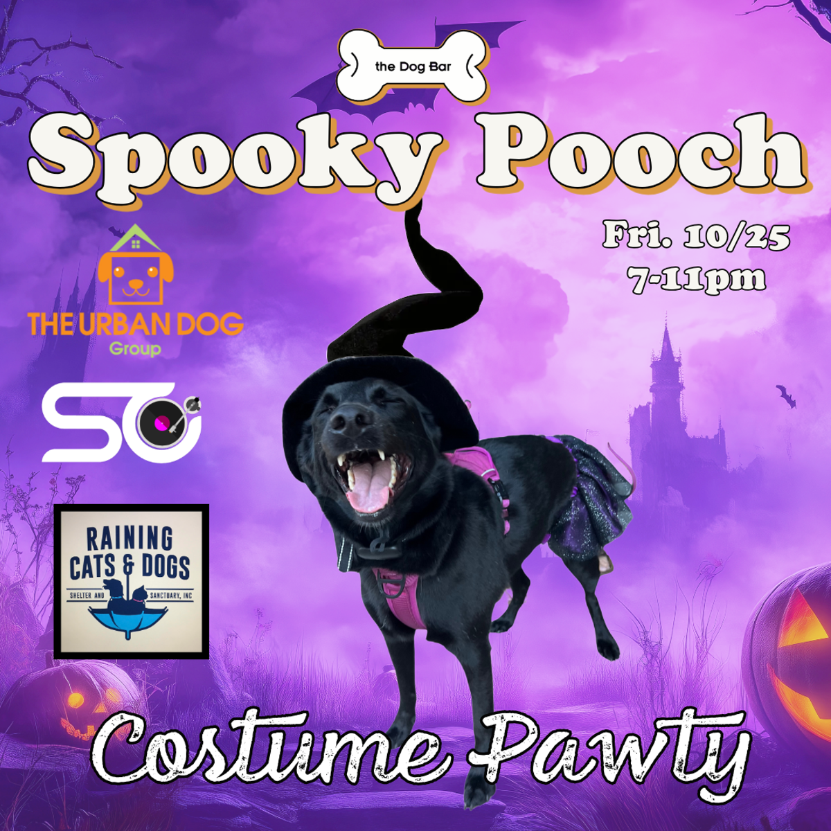 spooky_pooch_story-2.png