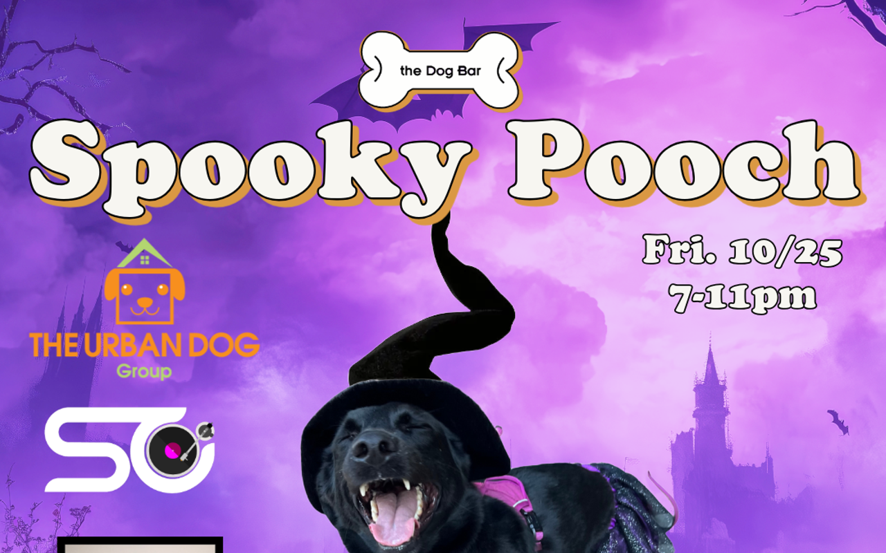 Image: Spooky Pooch